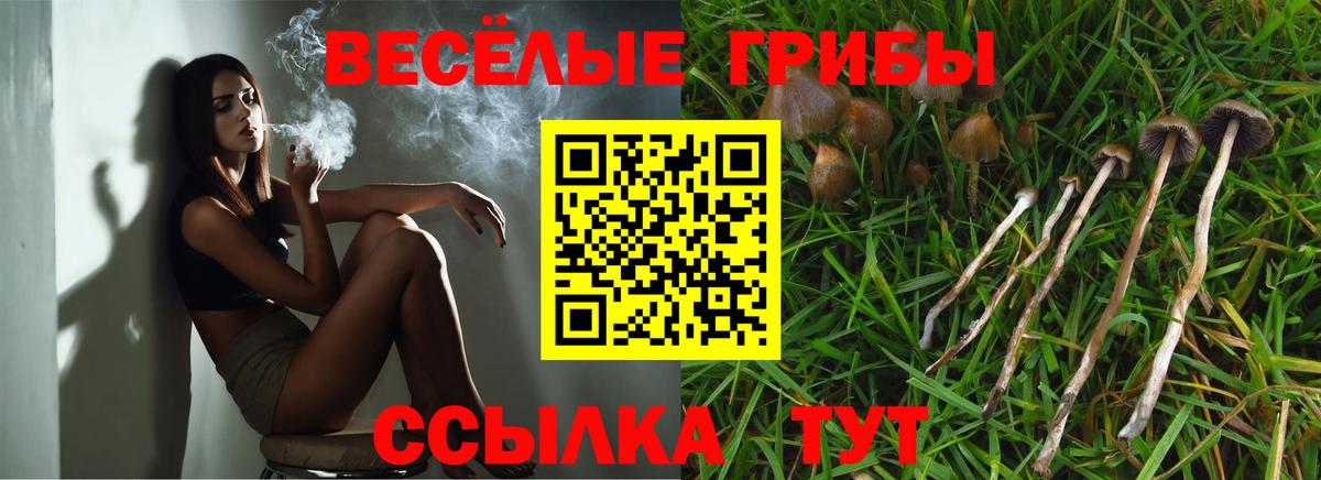 Псилоцибиновые грибы Cubensis Артём
