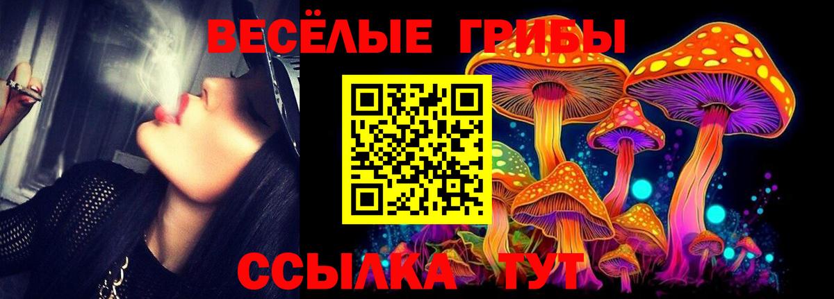 Артём  Псилоцибиновые грибы MAGIC MUSHROOMS  Галлюциногенные грибы мицелий  Вход с VPN 
